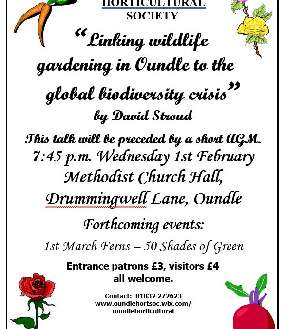 Linking Wildlife Gardening In Oundle To The Global Diversity Crisis