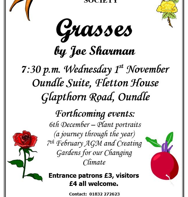Grasses by Joe Sharman