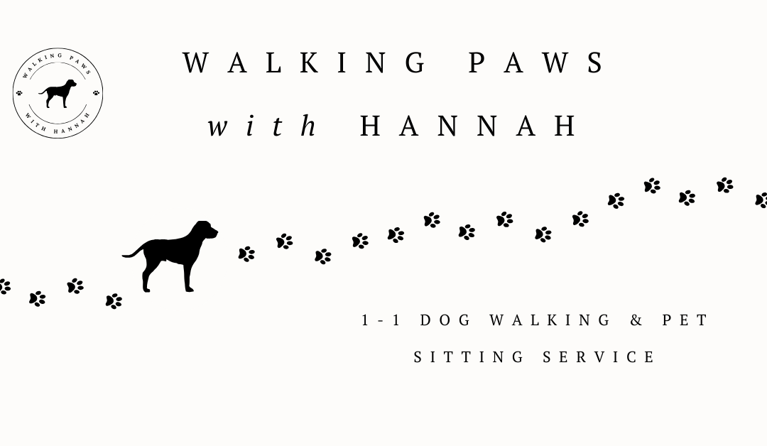 Walking Paws with Hannah