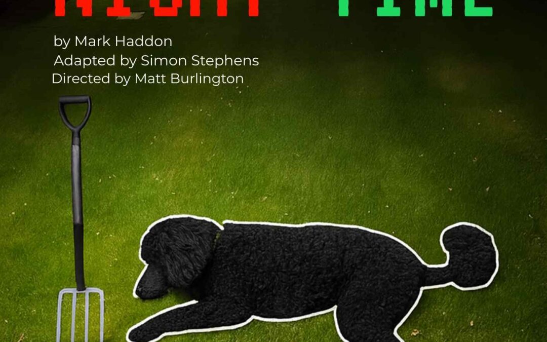 The Curious Incident Of the Dog In The Night-Time